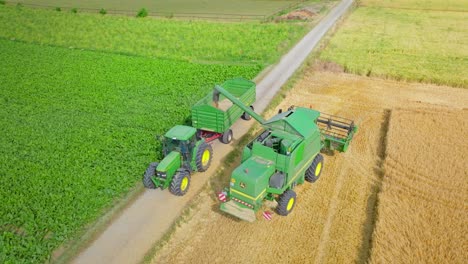 combine harvester unloading grains in wheat field - aerial drone shot