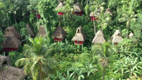 people sitting on window in tree house village at samana in dominican republic