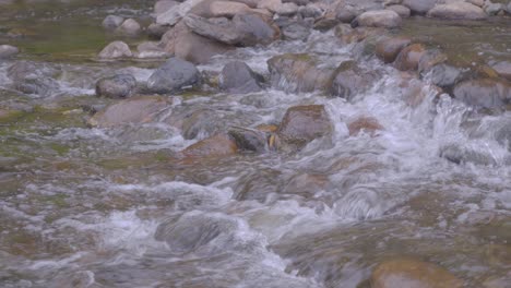 Corriente-De-Agua-Con-Rocas,-Primer-Plano,-Toma-En-Cámara-Lenta