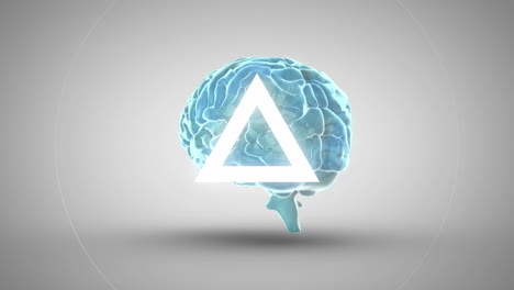 animación cerebral azul brillante en 3d con formas pulsantes en blanco, que simbolizan la neurología.