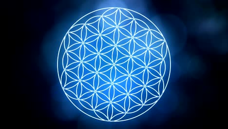 the flower of life forming sacred geometry symbol