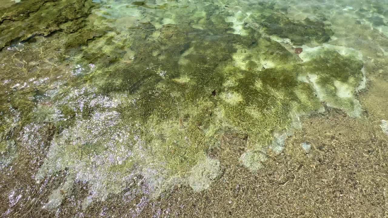 Onde di acqua limpida sulla battigia di una spiaggia sabbiosa, fondale oceanico roccioso, destinazione tropicale