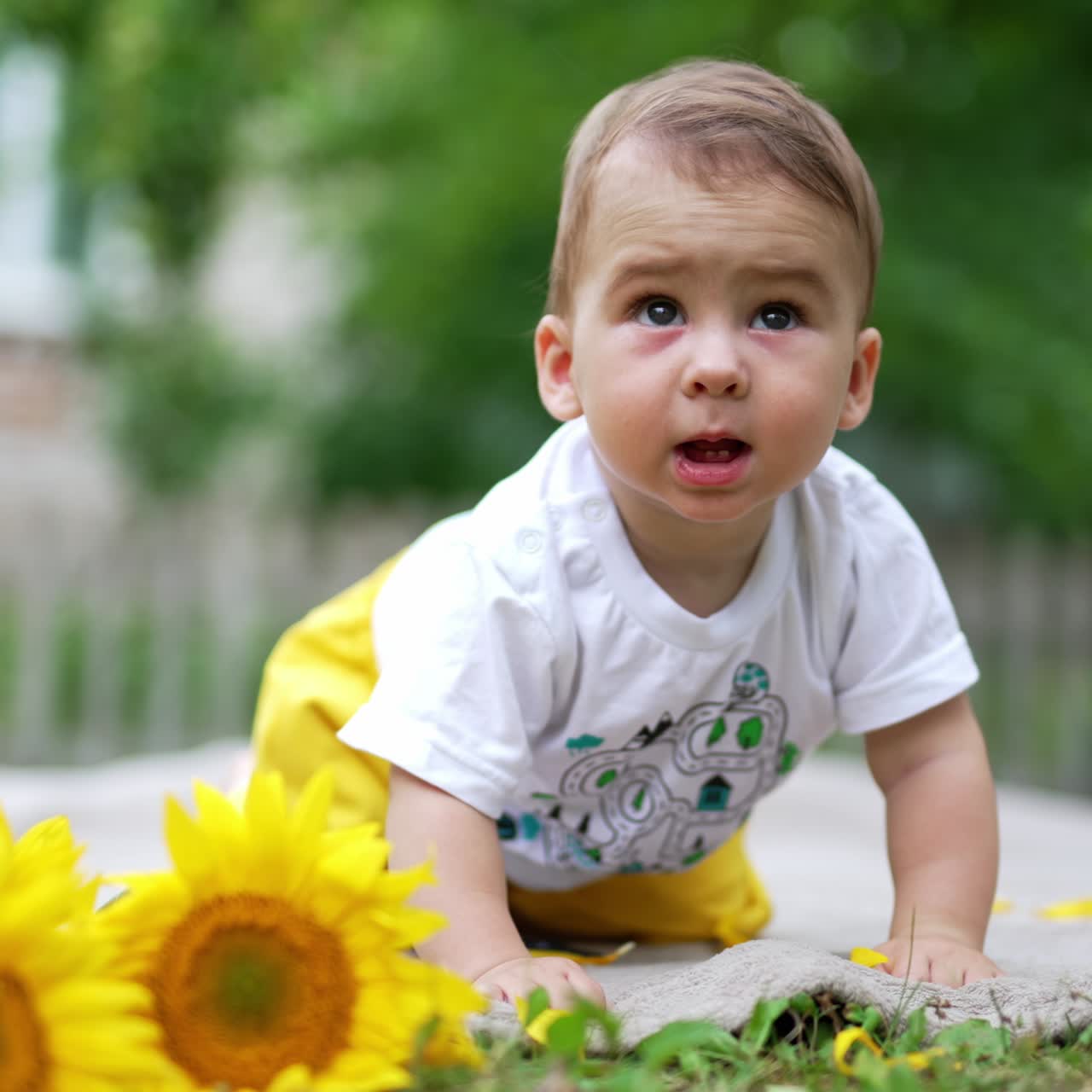 Entzückendes Kind steht auf allen Vieren und wiegt sich. Baby verbringt Zeit im Sommer im Freien. Sonnenblumen im Vordergrund. Verschwommener Hintergrund