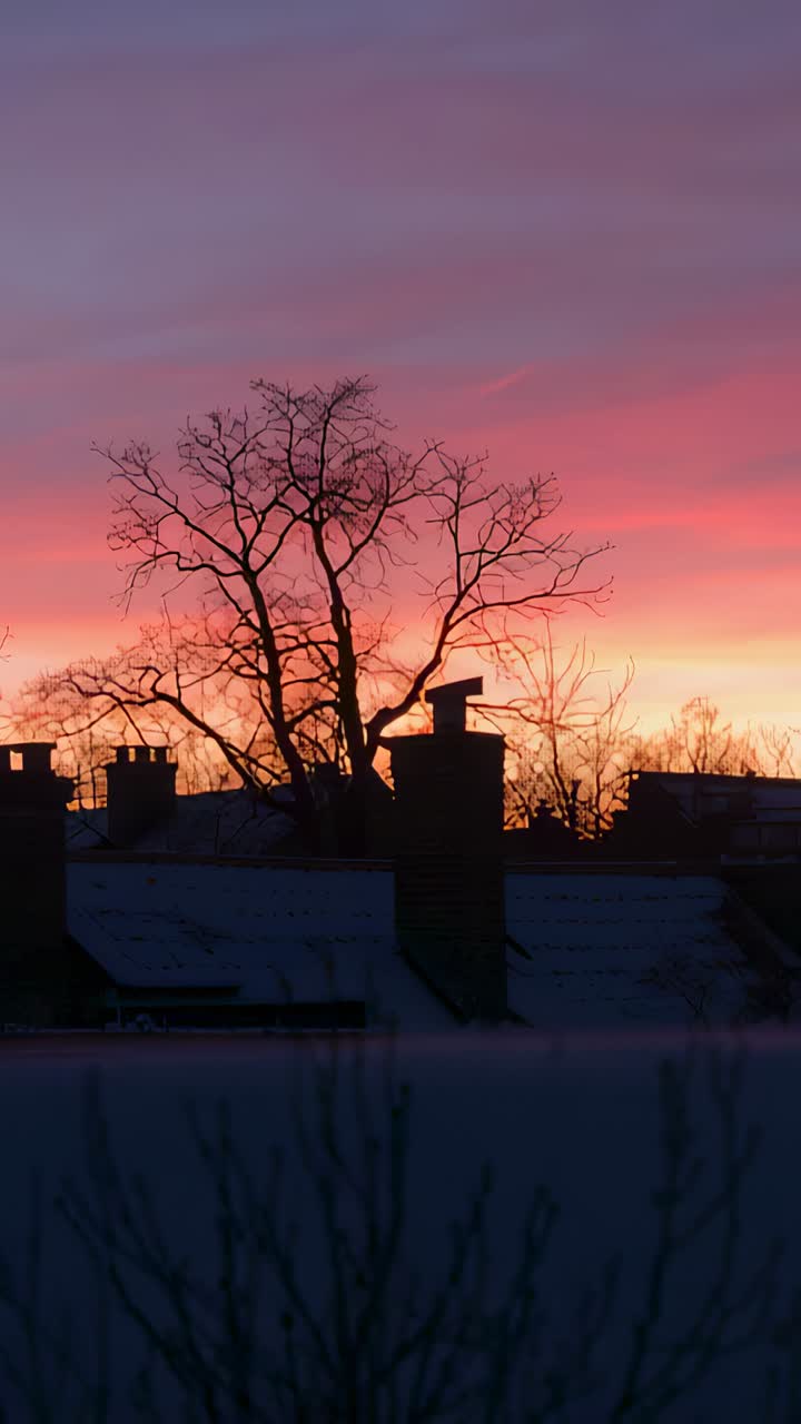 Vertical video: Sky deepening as sun descending over snowy rooftops, tree silhouette and chimneys