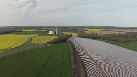 Aerial-drone-point-of-view-of-rapeseed-fields-near-to-Avon-les-Roches-in-the-Loire-Valley,-France