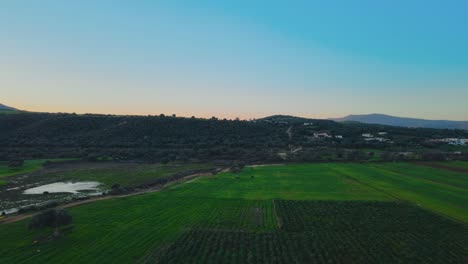 a breathtaking aerial view of lush green fields and rolling hills under a clear sky, showcasing the tranquil beauty of rural tunisia.