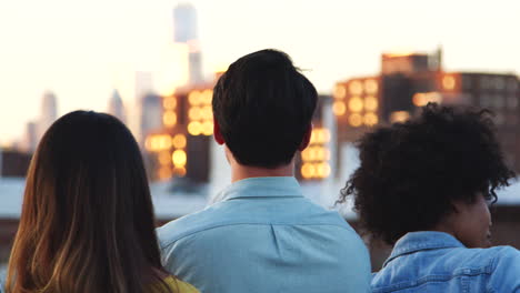 Freunde-Schauen-Von-Der-Dachterrasse-Aus,-Rückansicht,-Nahaufnahme-Einer-Handpfanne