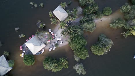 alteração aérea de cima para baixo do chao ilha do amor estado de pará, brasil floresta amazônica