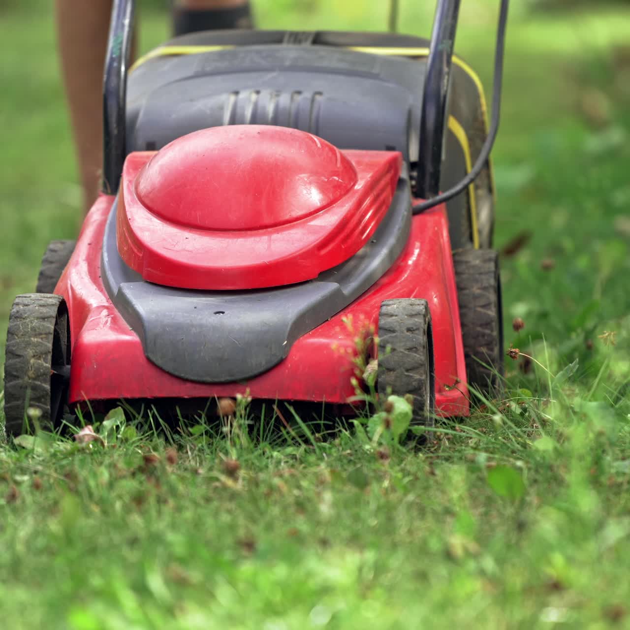 Man cutting grass with lawnmower