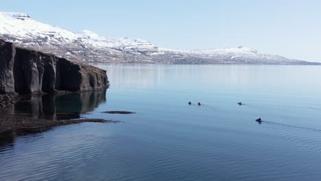 four kayakers floating along scenic shore of holmanes in iceland, aerial