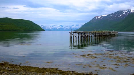 hermosa naturaleza noruega gaviotas en el viejo muelle