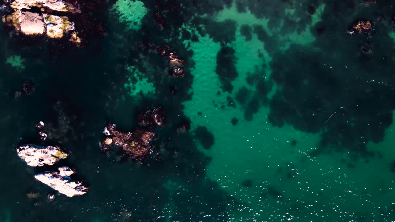 vista panorámica de los acantilados costeros, el fondo arenoso, el agua verde, las algas marinas y las algas marinas