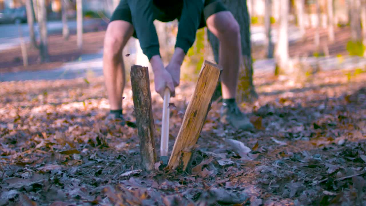 una persona que corta y hace leña cortando la madera con un viejo hacha de acero y metálico en un bosque durante la primavera o el invierno en cámara lenta