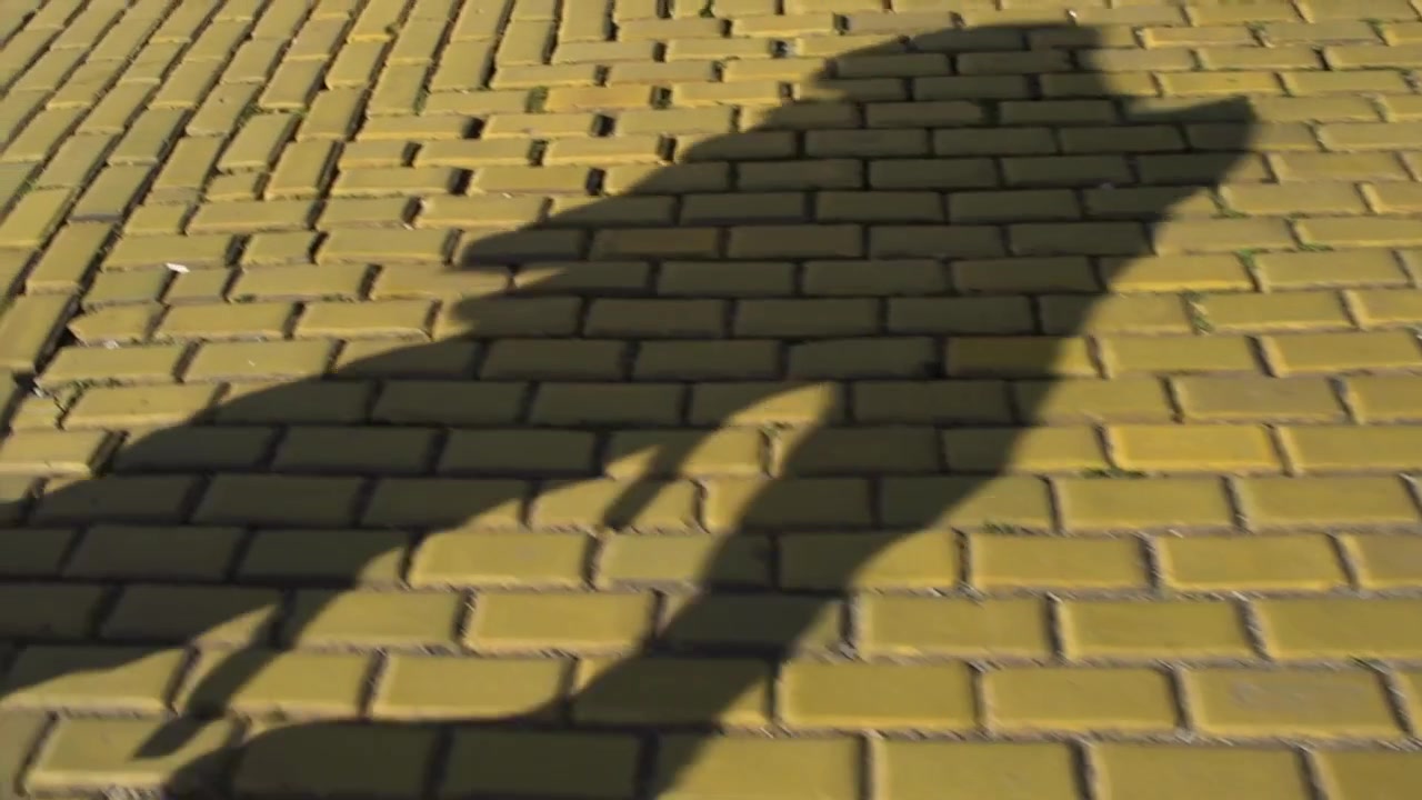 Following the shadow of a man carrying a sculpture on his back on the yellow cobblestones of Sofia, ceramic paving in the center of the city. Bulgaria.