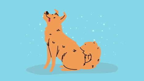 cute yellow dog mascot animation