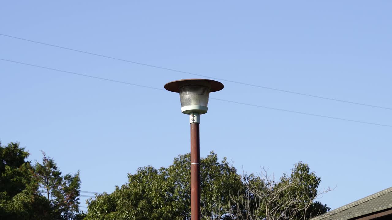 Lampu Taman di Siang Hari di Taman Jepang Lokal
