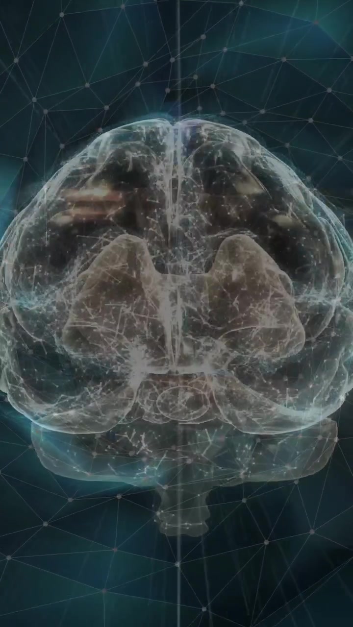Animazione di rete di connessioni su cervello digitale