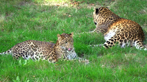 en un zoológico
