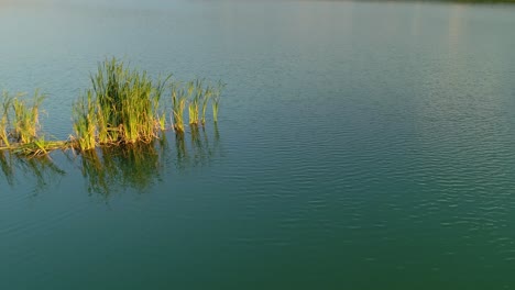 Ruhiges-Wasser-Des-Frydman-Sees-Mit-Schilf-In-Polen,-Antenne