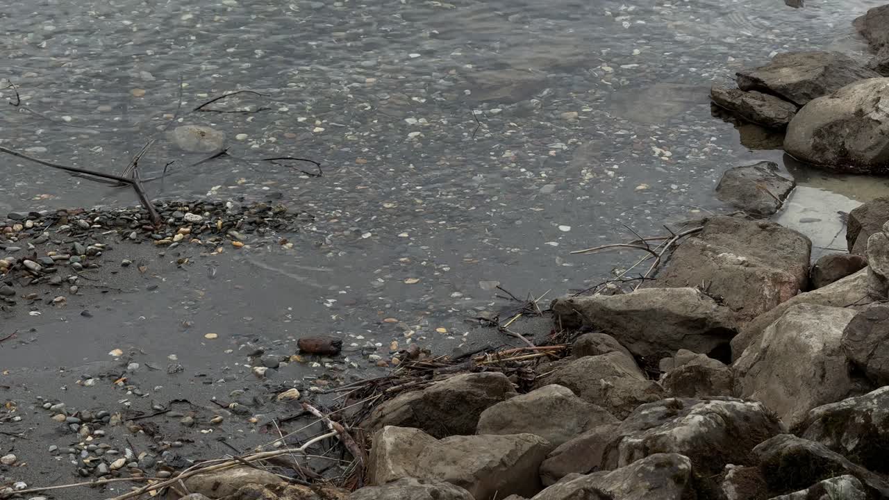 Shallow clean water pebble stones under clear lake Walensee shoreline Switzerland