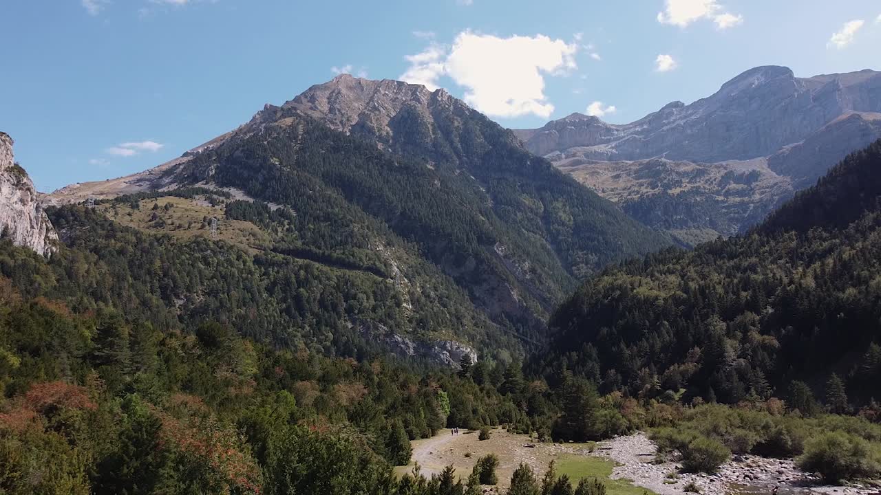 volando sobre un valle de pinos en los pirineos