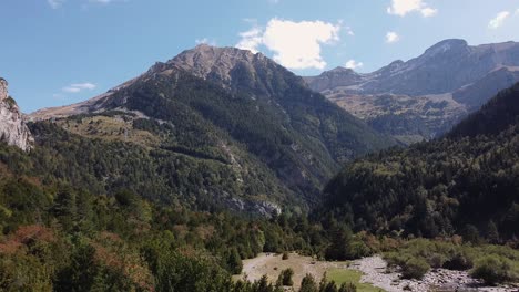 flying over a valley of pine trees in the pyrenees