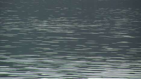 ondas lineales en la superficie del lago en cámara lenta