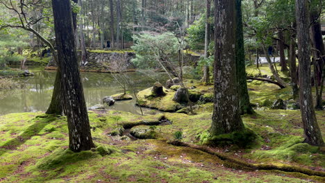 Spaziergang-In-Der-Nähe-Des-Alten-Baches-Beim-Saihōji-Tempel,-Kyoto,-Japan