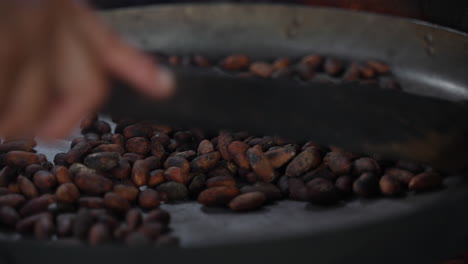 close up of cocoa beans being cooked in an old pan in the jungle in ecuador