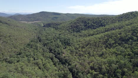 densely forested landscape at paluma range national park in north queensland, australia - aerial shot