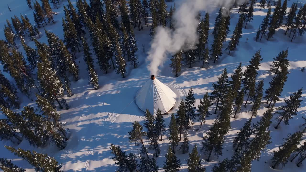 Aerial video captures a serene winter landscape with snow-covered trees casting long shadows