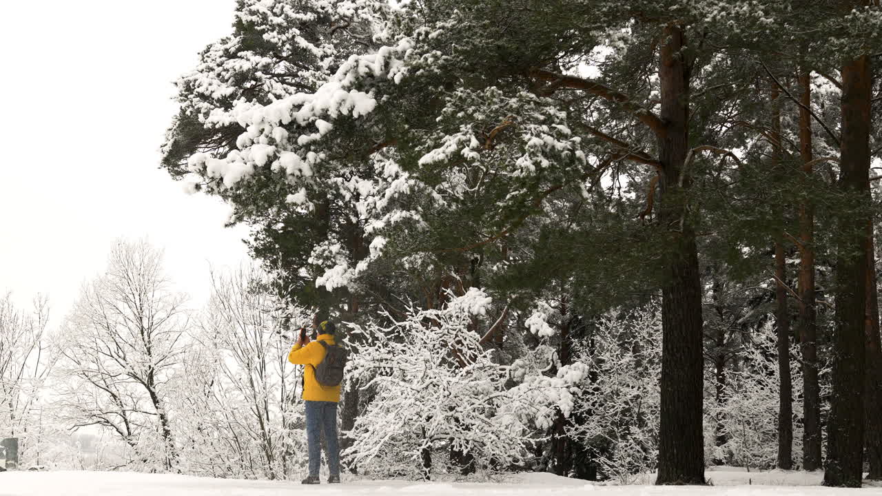 눈 위 의 배 여행자