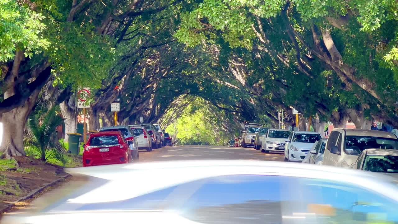 Mary Street Tree Canopy Tunnel - tighter shot cars parked side road Perth, Western Australia