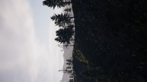 Vertikales-Video-Einer-Nebligen,-Nebligen-Berglandschaft-Mit-Tannenwald