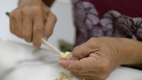 preparing cooking ingredients, slice with knife, cutting vegetables