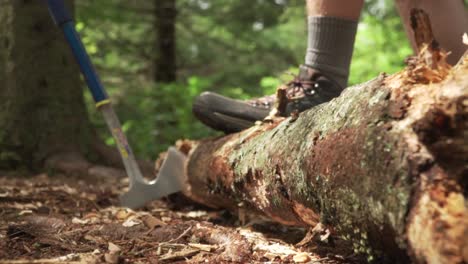 pulling axe out of log with boot stepping on log