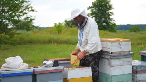 beekeeper is working with bees and beehives on the apiary. frames of a bee hive