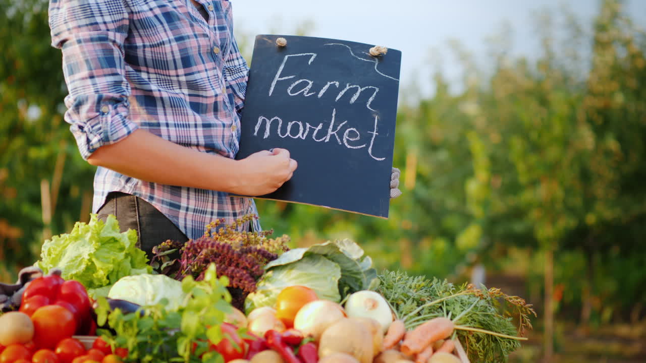 A Farmer Writes In Chalk On The Blackboard The Word Organic Near The Counter With Fresh Vegetables H