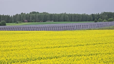 solar panels during in a rapeseed field during a rainy overcast day and countryside house in the far background