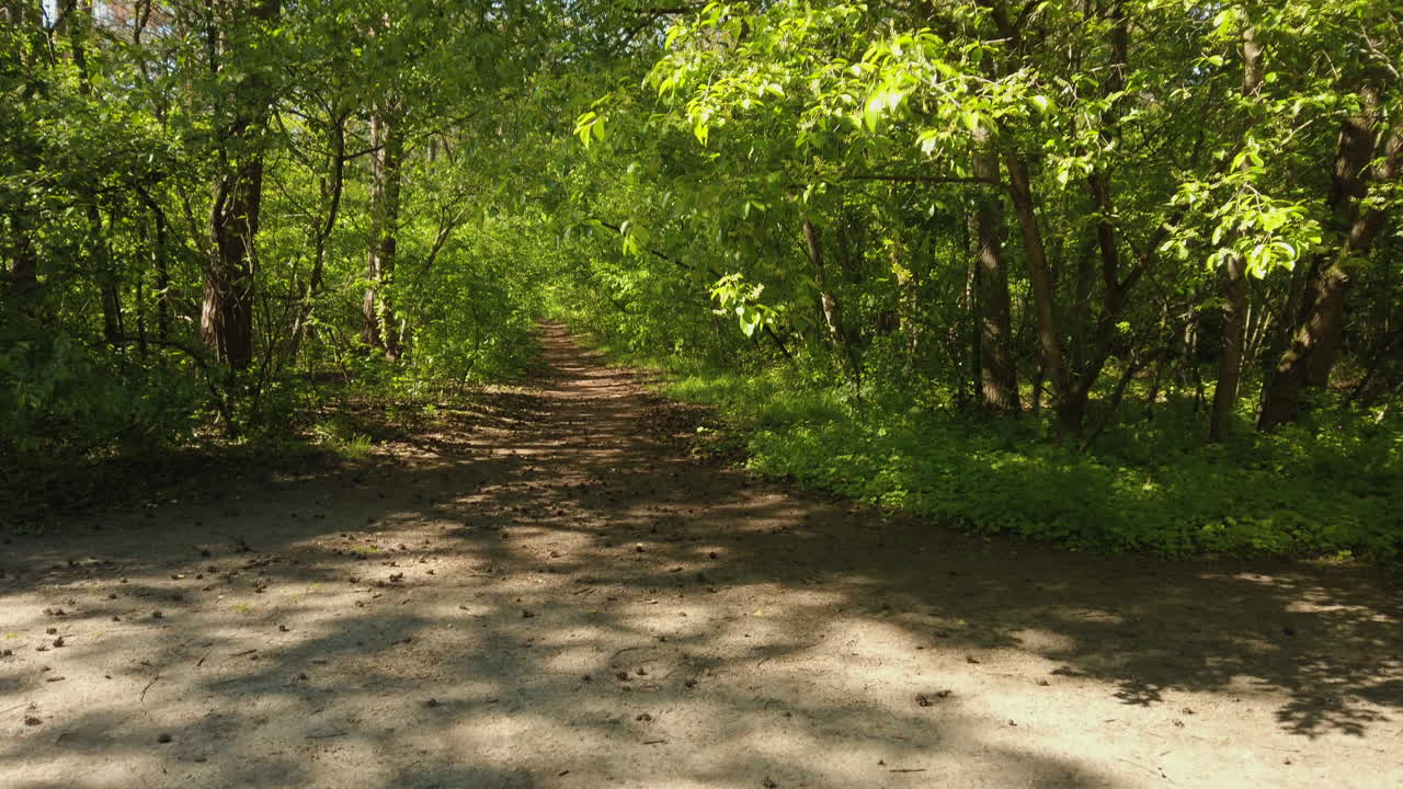 숲 한가운데 있는 아름다운 작은 길