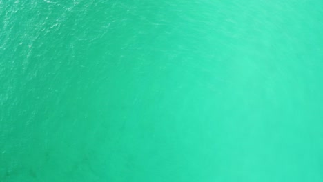 Crystal-clear-turquoise-water-aerial-view-top-view-drone,-tropical-blue-water