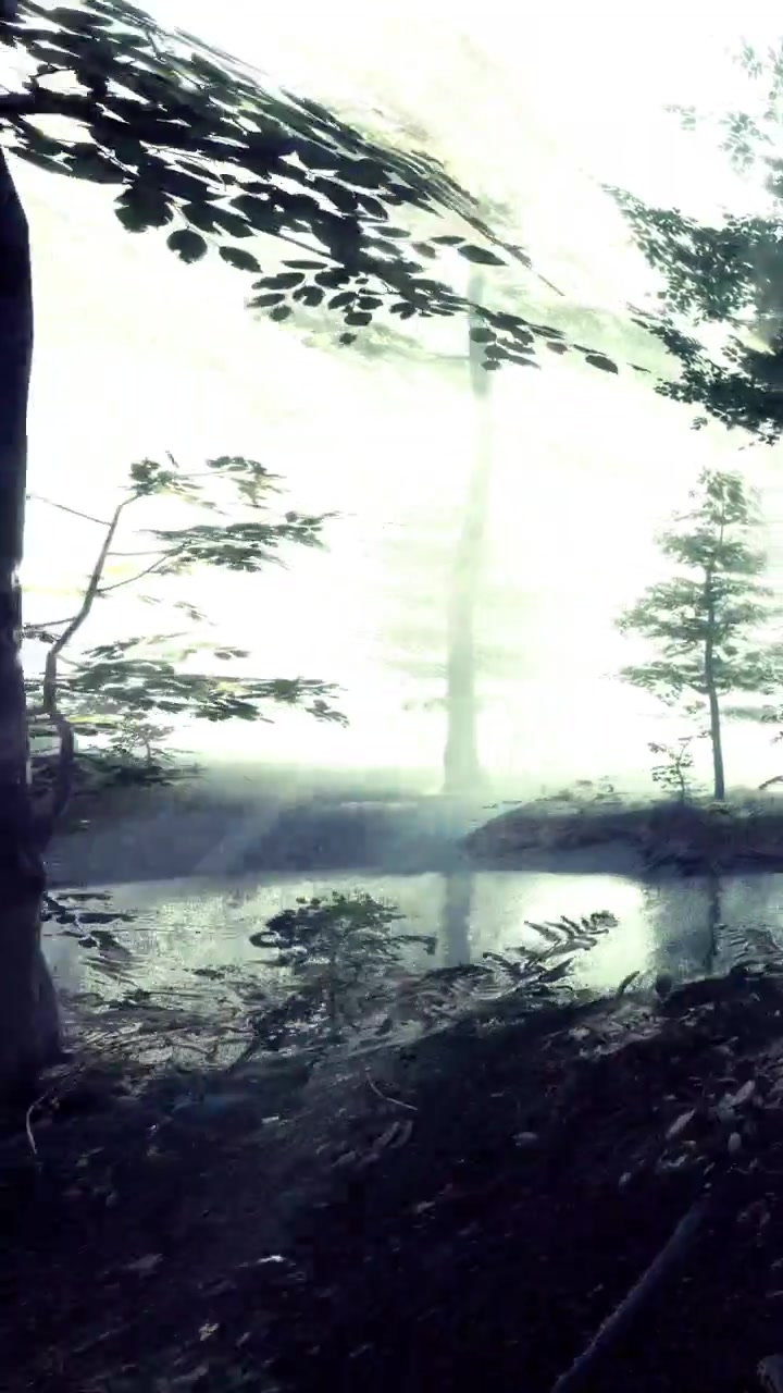 Luce tra gli alberi in una foresta di giorno vicino a un sentiero