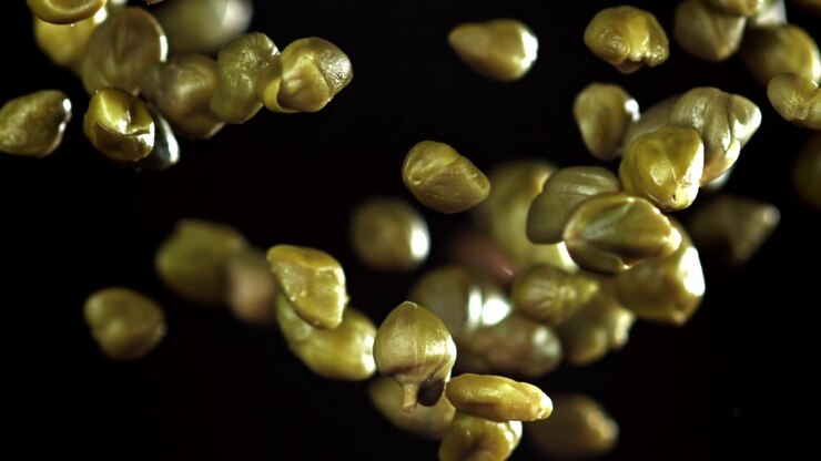 Green Capers Falling in Super Slow Motion on Black Background