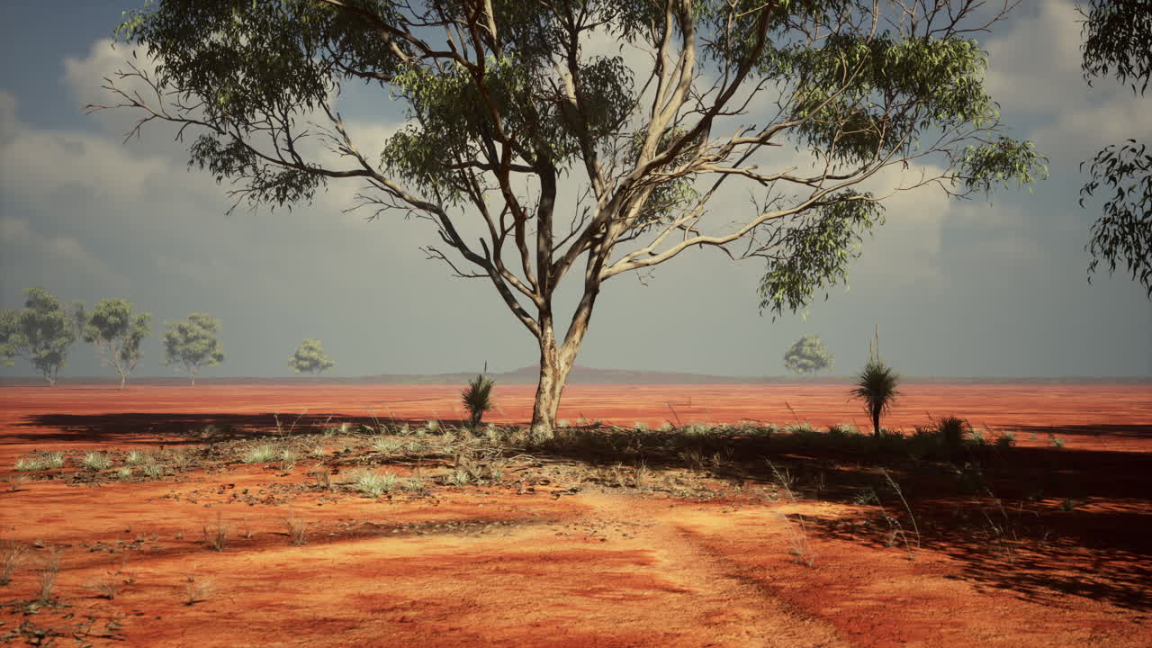 아프리카 풍경 의 아카시아 트라이스
