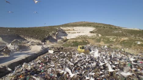 un vuelo fantástico más allá de los pájaros en el vertedero