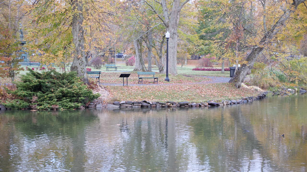Pond in the Park with a bench and light post during Autumn