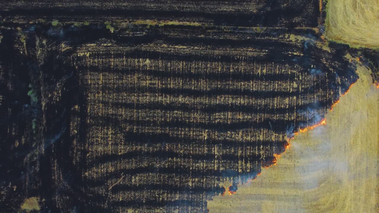 tomada aérea de drones de la quema de paja de las sobras de la cosecha del campo de trigo que causa smog y fuerte contaminación del aire en el norte de la india