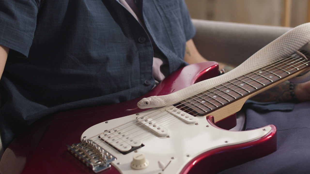 전기 기타를 들고 소파에 앉아 그의 다리 위에 뱀이 있는 알아볼 수 없는 남자의 시야를 닫습니다