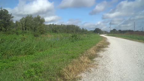 área de restauración del lago apopka florida central ee.uu.