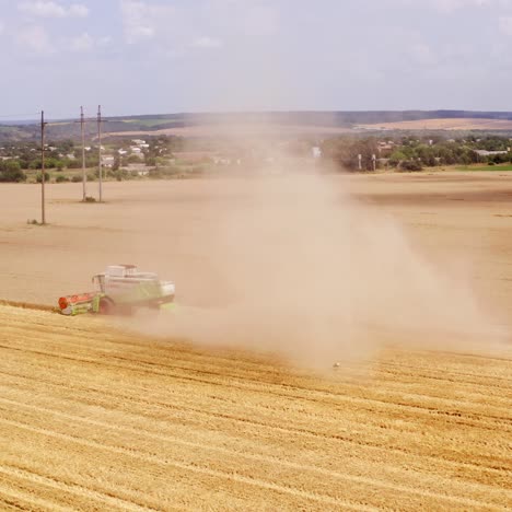 Combine harvester cutting wheat field. Aerial shot of harvester working on wheat field